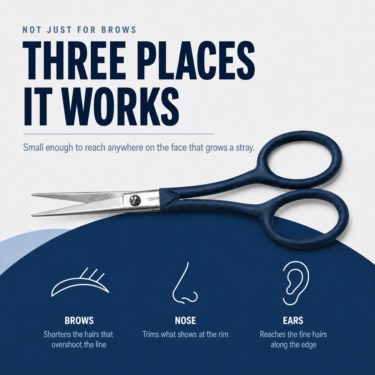 Precision Scissors